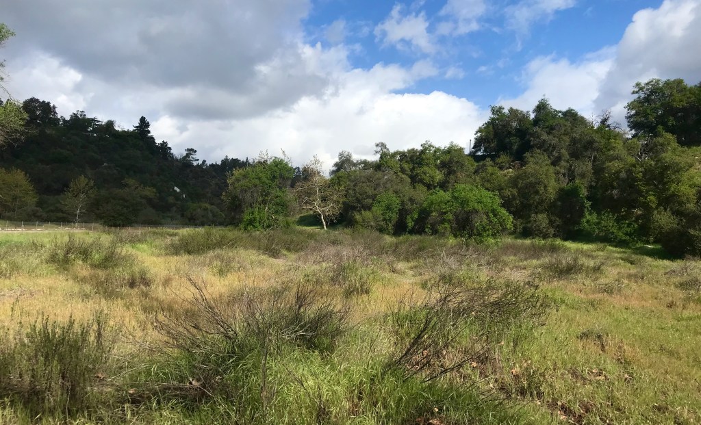 Lower Arroyo Seco: Visit 5