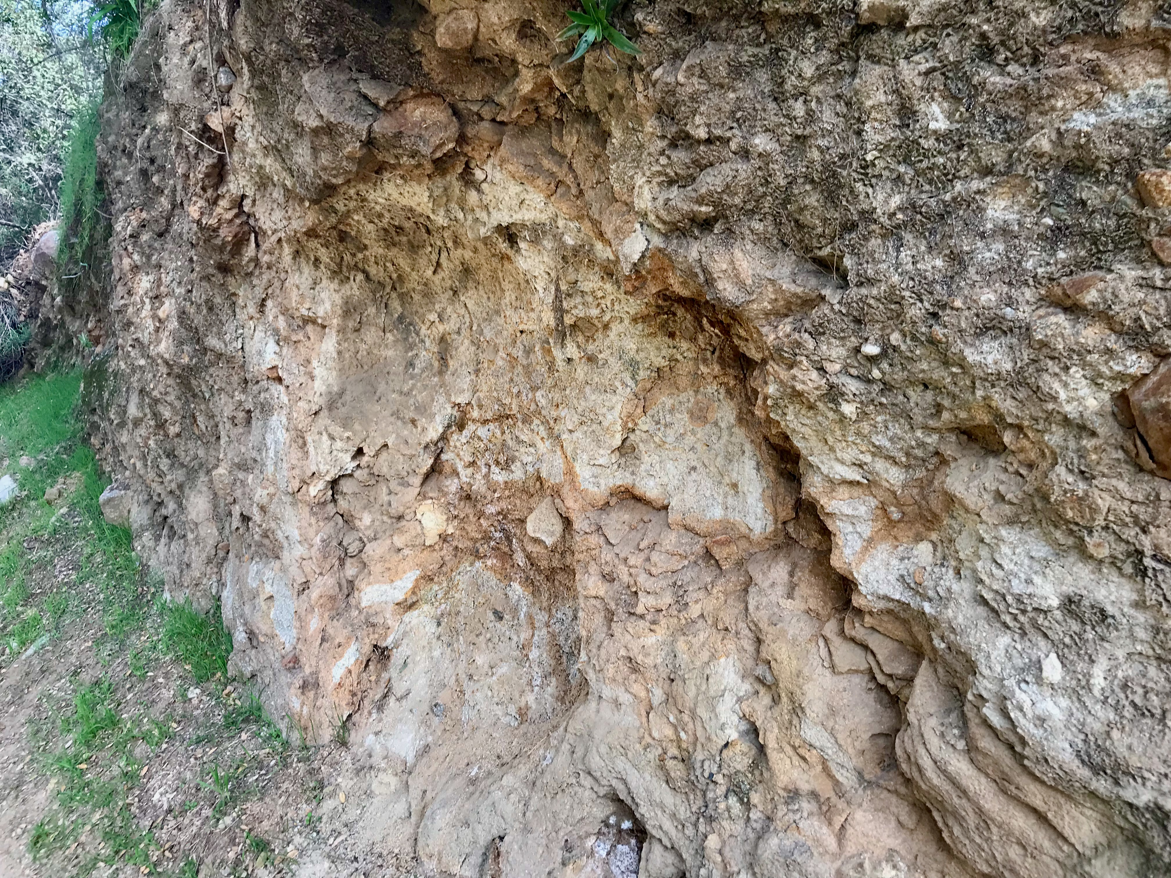 A portion of the Topanga Canyon formation along the eastern wall of the Lower Arroyo park in Pasadena.