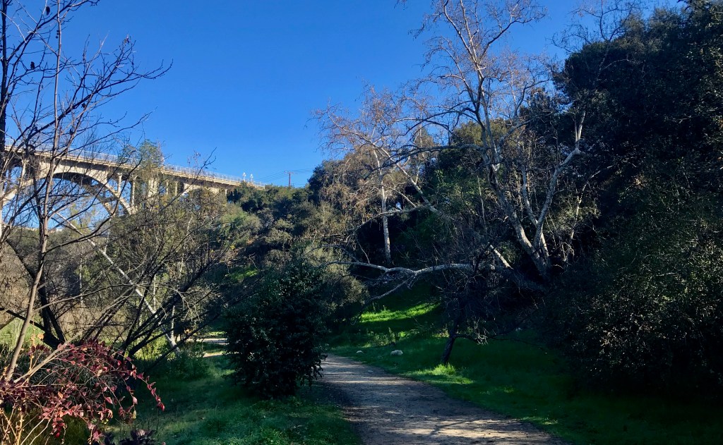 Lower Arroyo Seco Park looking north towards the Colorado Street bridge.