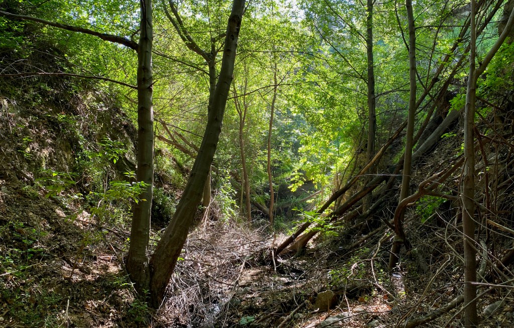 Upper Arroyo Seco – Visit&nbsp;4￼