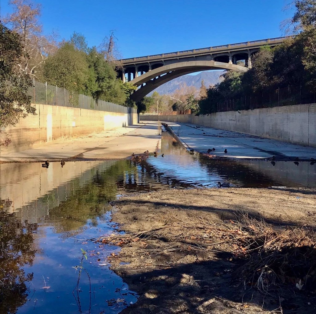 Looking north into the Arroyo Seco canal from the leading edge of the riparian creek.
