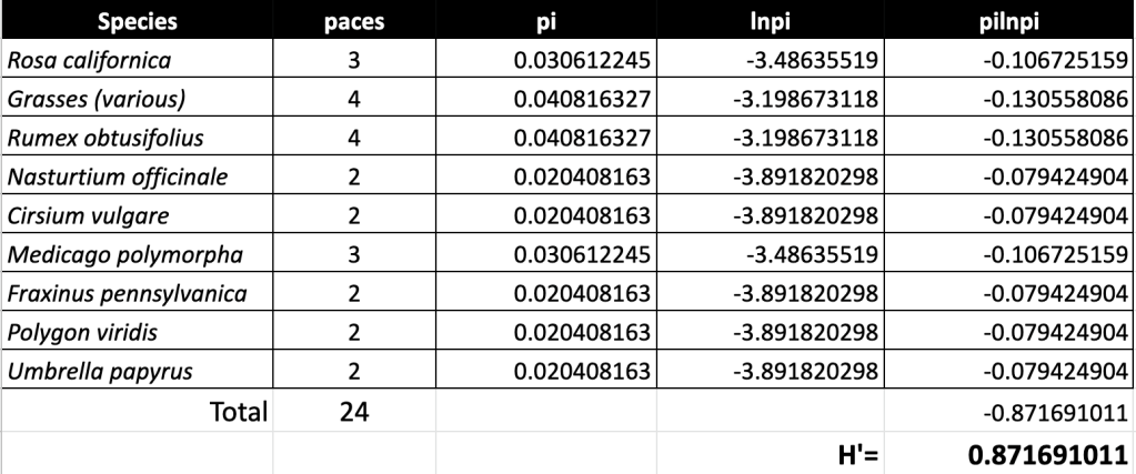 Creek and meadow plant survey.