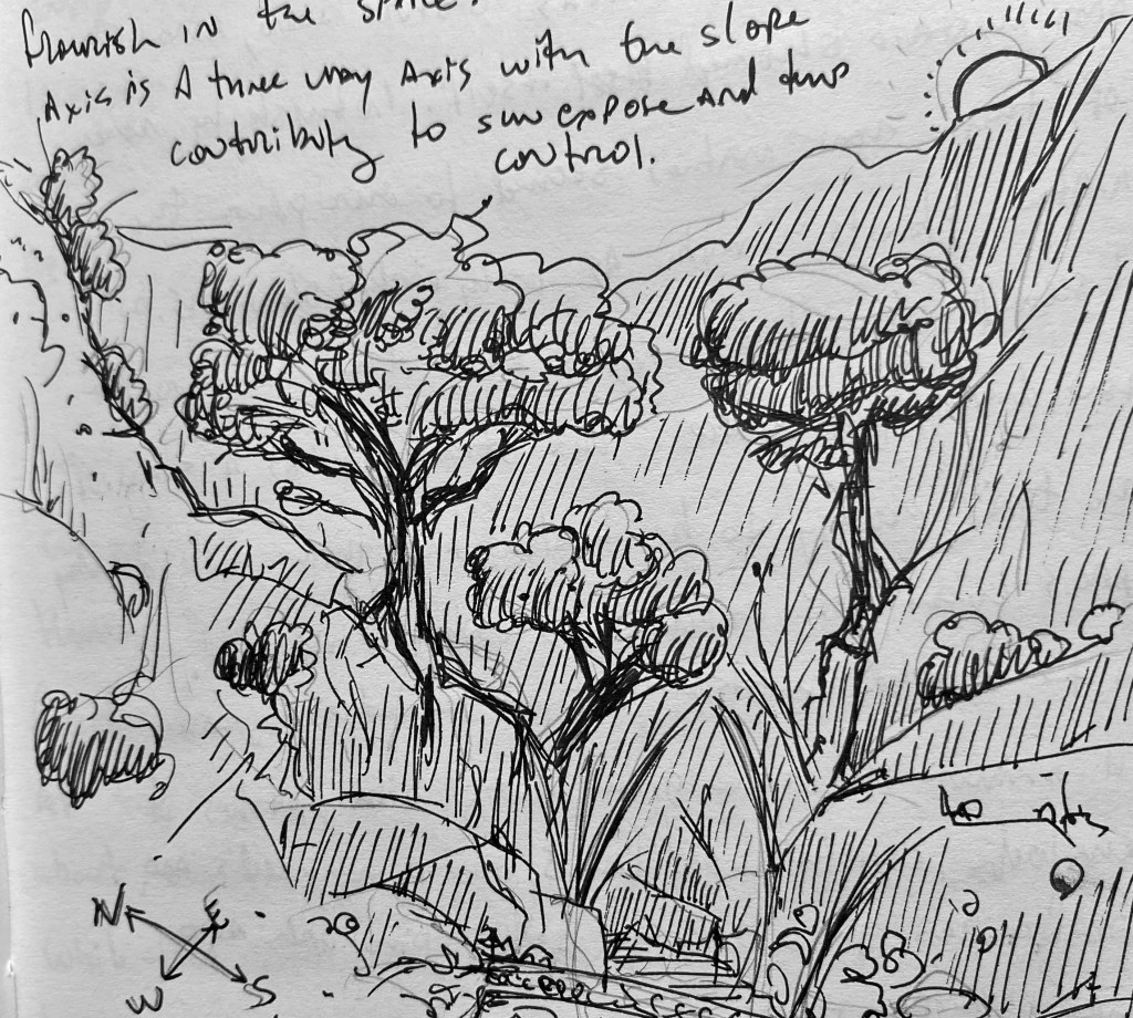 Slope effect on oak, sage and chaparral canyons.