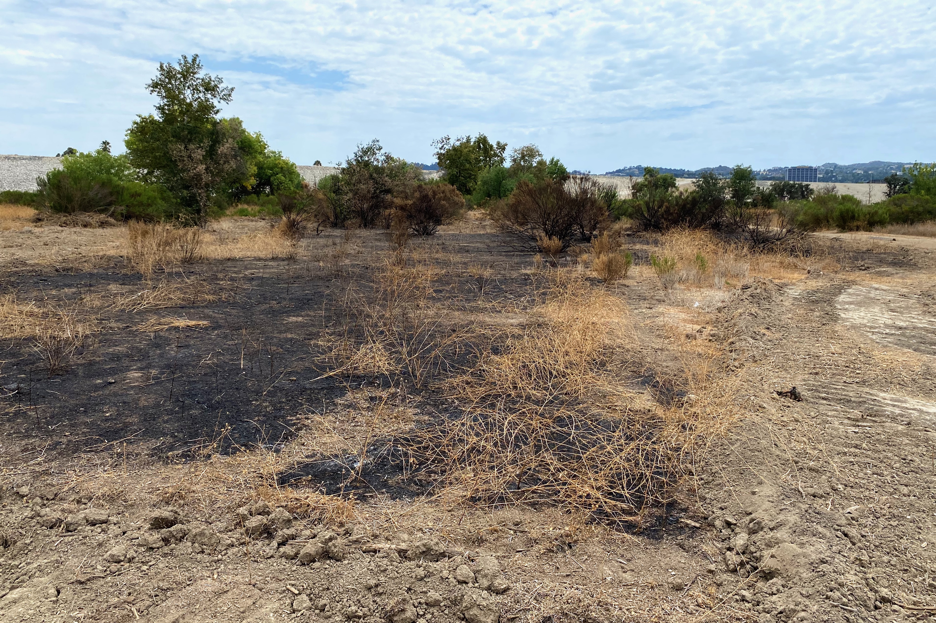 Aftermath of a small wild fire in the Sepulveda Basin near the dam.