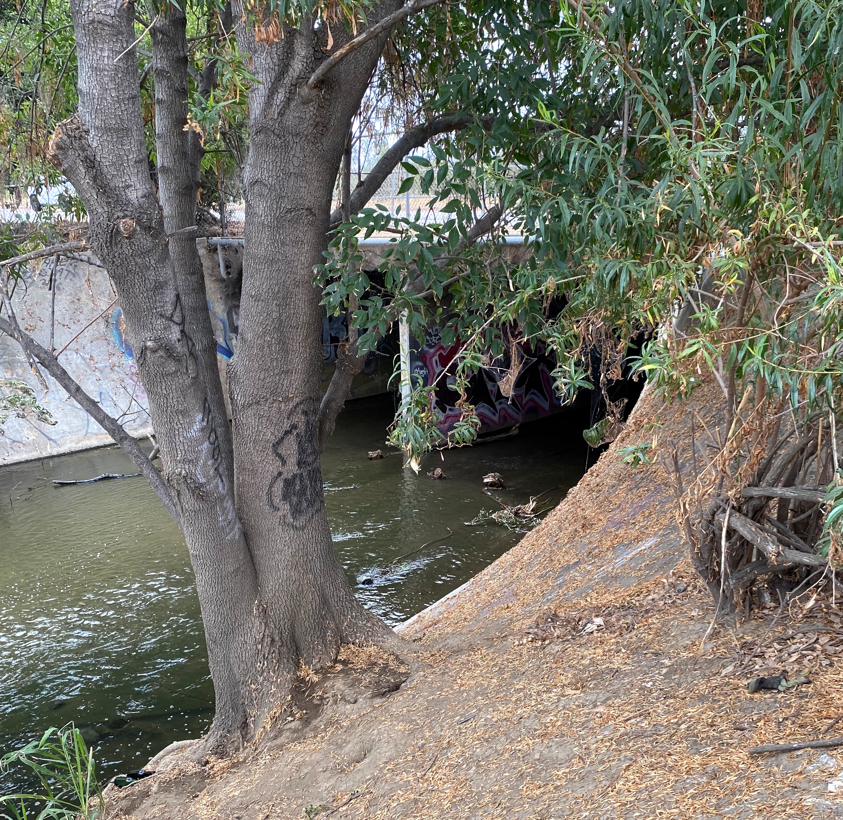 Where Haskell Creek runs into the Los Angeles river under Burbank Blvd.