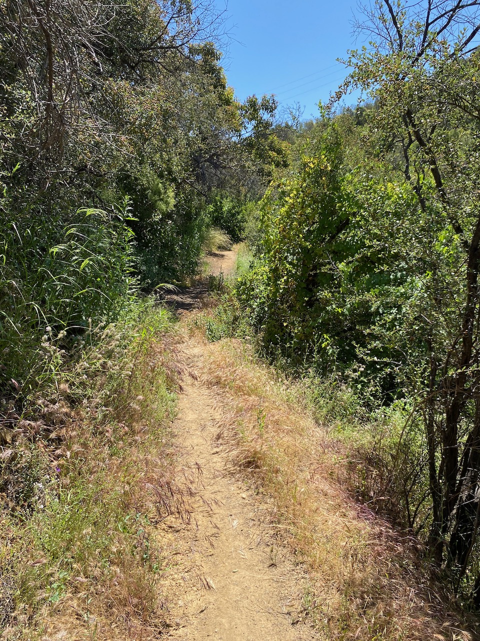 Looking east along the Garapito Canyon Trail