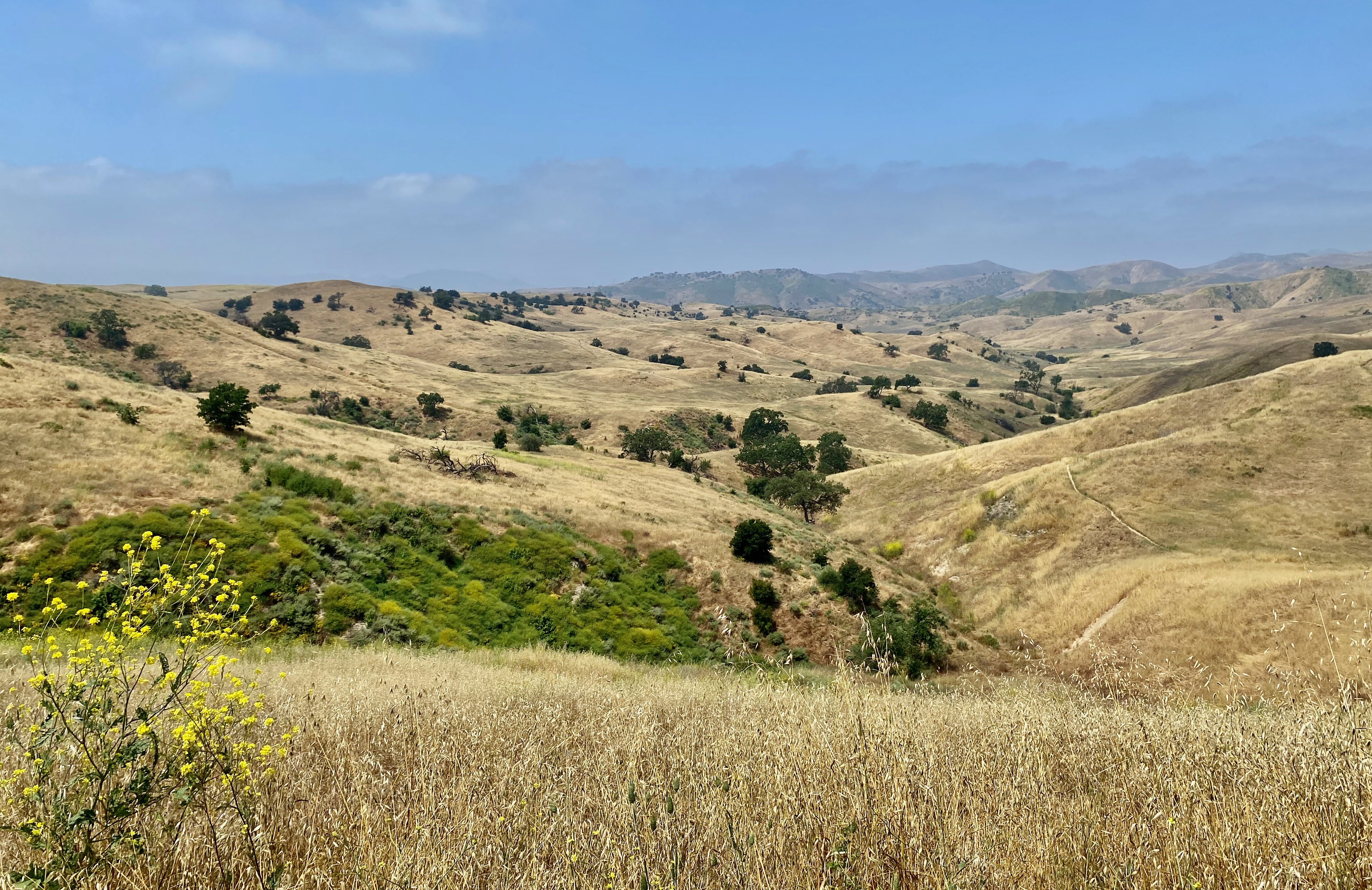 Looking west from the Joe Behar trail in the Upper Las Virgenes Canyon Open Space Preserve in May, 2023.