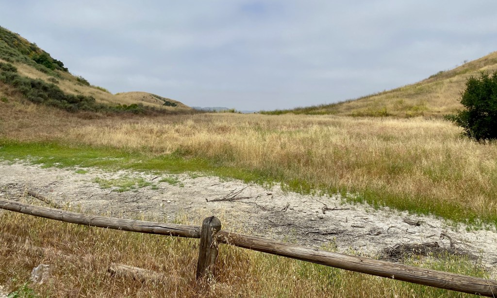 Looking west from the parking lot at the Upper Las Virgenes Canyon Open Space Preserve in May or 2023.