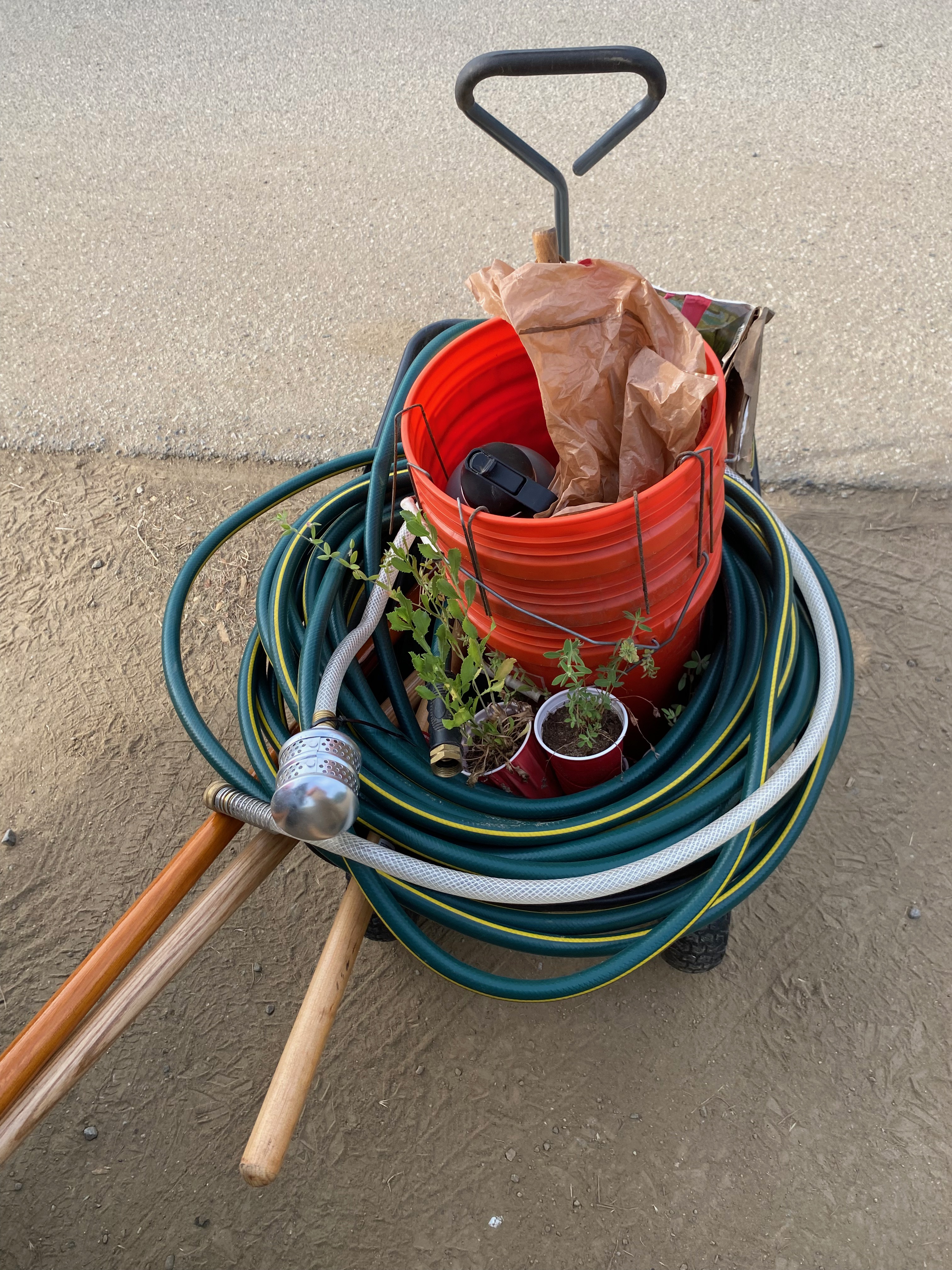 Tools, plants and equipment used in the wildlife reserve.