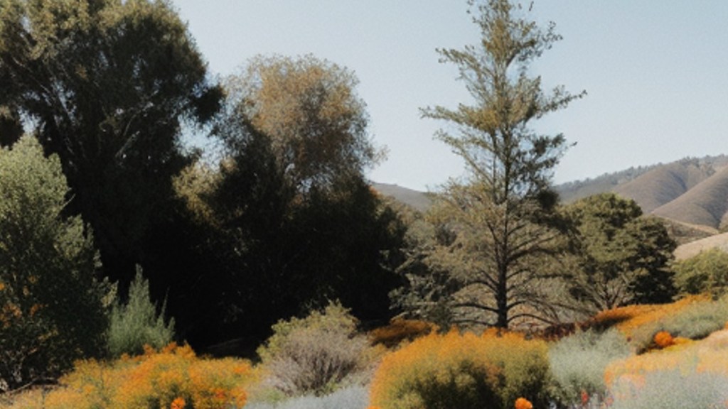 Embracing the Fifth&nbsp;Season