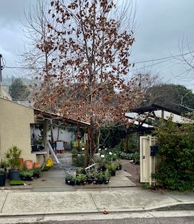 The entrance of Plant Material in Glassell Park, CA.