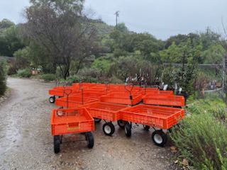 Large orange carts inside Theodore Payne Nursery in Los Angeles.