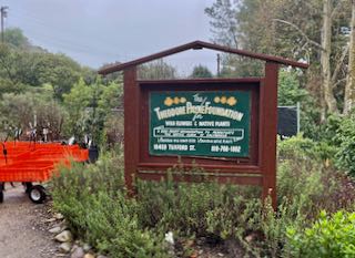 Theodore Payne Nursery sign on a rainy day in Sunland.